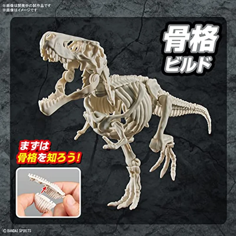 bandai-plannosaurus-tyrannosaurus-figur-t-rex-skelett-modell image 4