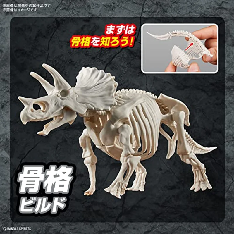 bandai-plannosaurus-triceratops-modellbausatz-plastikmodell image 4