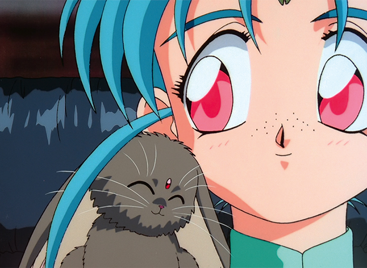 hardball-films-tenchi-muyo-ova-collection-blu-ray-gesamtausgabe-harem image 4