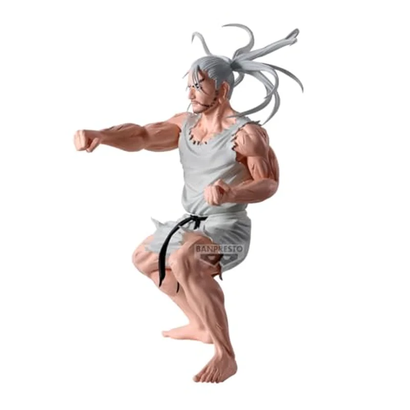 hunter-x-hunter-netero-hunting-archives-anime-figur image 3